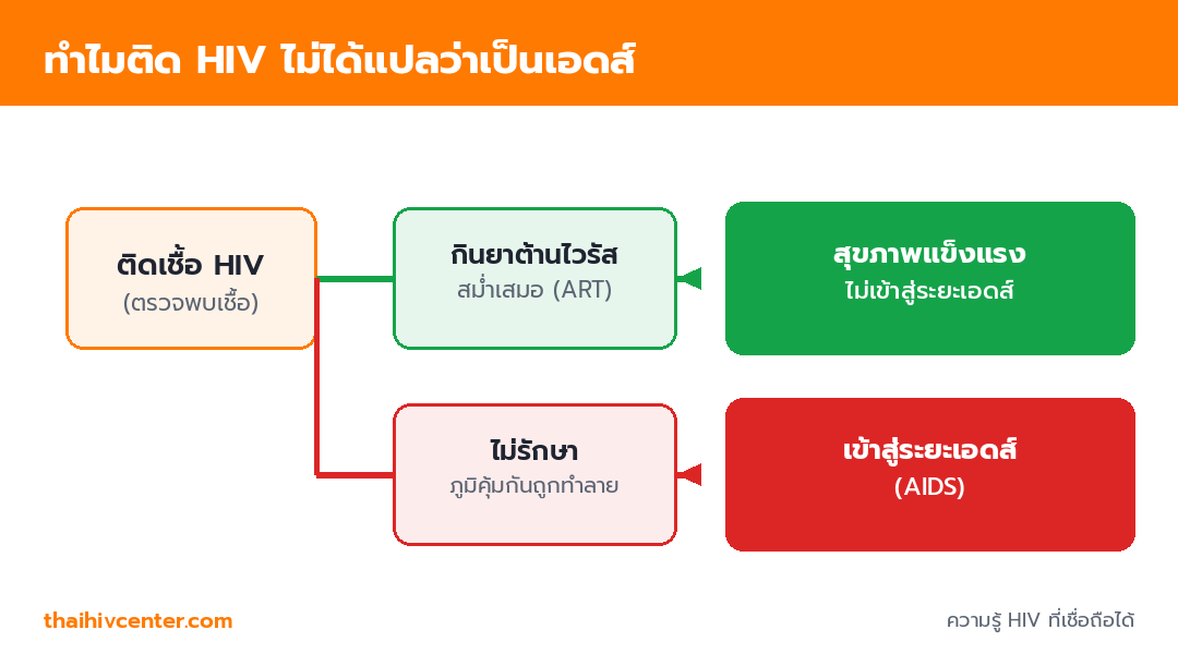 อินโฟกราฟิกแสดงสองเส้นทาง หากติดเชื้อ HIV แล้วกินยาต้านไวรัสจะสุขภาพดีไม่เข้าสู่เอดส์ แต่หากไม่รักษาภูมิคุ้มกันจะถูกทำลายและเข้าสู่ระยะเอดส์
