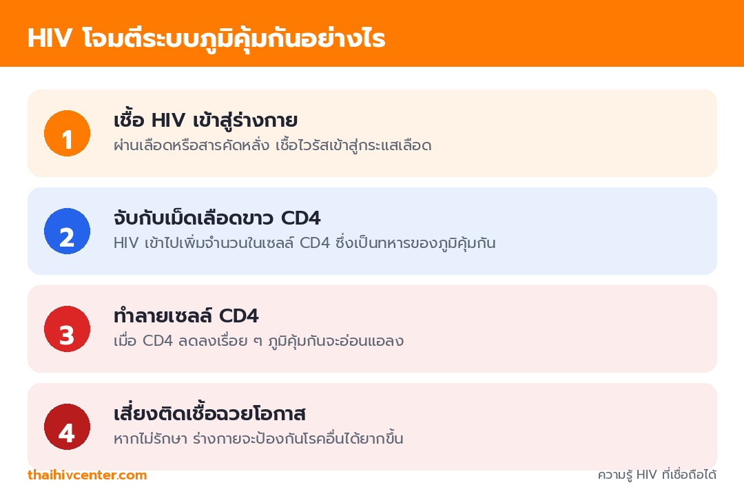 อินโฟกราฟิกแสดง 4 ขั้นตอนที่ HIV โจมตีระบบภูมิคุ้มกัน ตั้งแต่เชื้อเข้าสู่ร่างกาย จับกับเม็ดเลือดขาว CD4 ทำลาย CD4 จนภูมิคุ้มกันอ่อนแอ