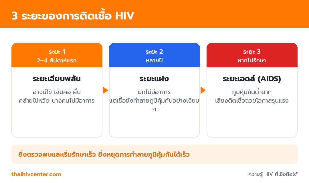 อินโฟกราฟิกไทม์ไลน์ 3 ระยะของการติดเชื้อ HIV ได้แก่ ระยะเฉียบพลัน 2 ถึง 4 สัปดาห์ ระยะแฝงหลายปี และระยะเอดส์เมื่อไม่ได้รักษา