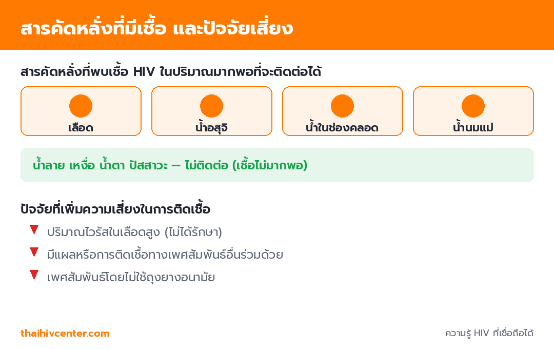 อินโฟกราฟิกแสดงสารคัดหลั่งที่มีเชื้อ HIV ได้แก่ เลือด น้ำอสุจิ น้ำในช่องคลอด น้ำนมแม่ และระบุว่าน้ำลาย เหงื่อ น้ำตาไม่ติดต่อ พร้อมปัจจัยที่เพิ่มความเสี่ยง
