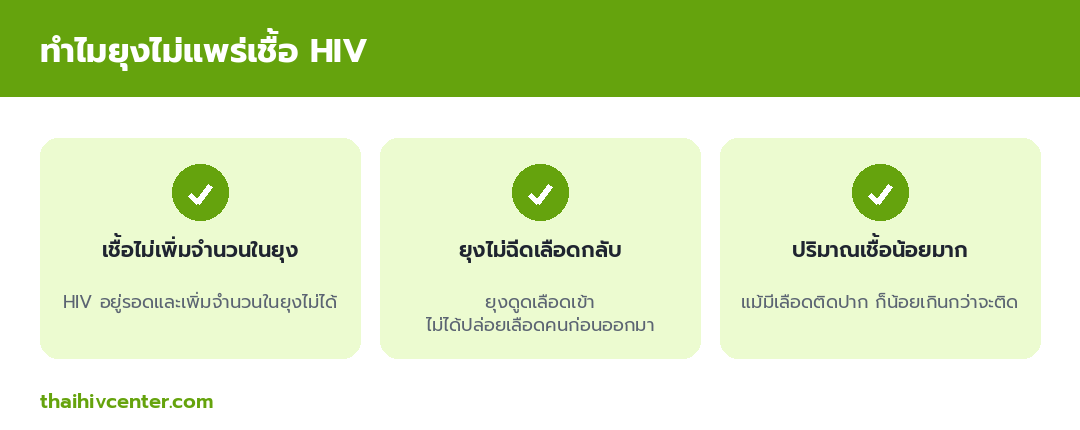 อินโฟกราฟิกอธิบายว่าทำไมยุงไม่แพร่เชื้อ HIV เพราะเชื้อไม่เพิ่มจำนวนในยุง ยุงไม่ฉีดเลือดกลับ และปริมาณเชื้อน้อยมาก