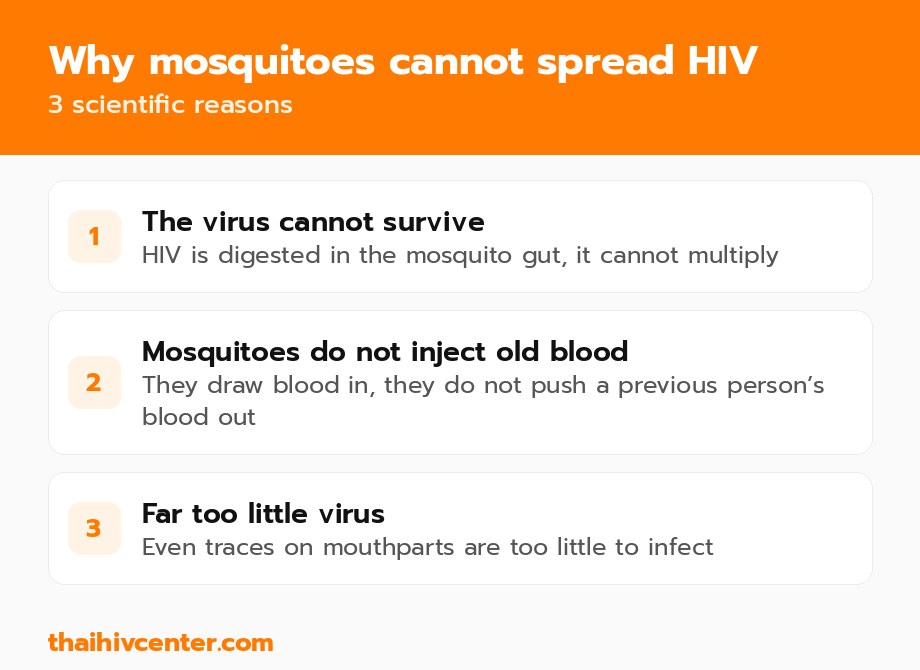 Three reasons mosquitoes cannot spread HIV